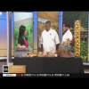 KCAL Cuisine: The Great Taste of Europa Wine & Food Festival