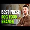Best Fresh Dog Food Brands 2023