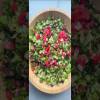 The best fattoush salad | FeelGoodFoodie. Prep meal.