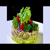 Your choice: World’s 50 best foods. Quinoa Salad – Bruno Albouze