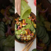 My top 2023 Summer Salads #plantbasedrecipes