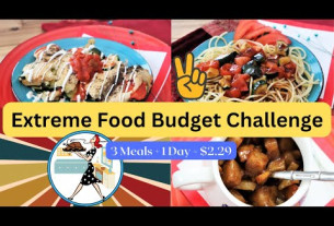 Extreme Budget Meals 2023 3 Meals for 2.29💲