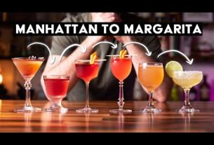 Manhattan to Margarita in 6 RECIPES - cocktail field guide!