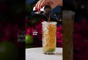 Dark Rum Mojito Cocktail Recipe