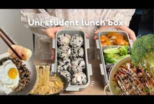 a week of Uni student lunch box *easy recipes