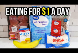 Eating for $1 a Day: Cheap and Healthy Meal Ideas You Need to Try