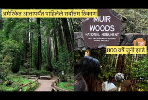 4K अमेरिकेत आत्तापर्यंत पाहिलेले सर्वोत्तम ठिकाण | 800 वर्षे जुनी झाडे | Muir Woods #marathivlog #34