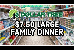 FEEDING A FAMILY OF 7 FOR $7 | Dollar Tree Dinner Ideas
